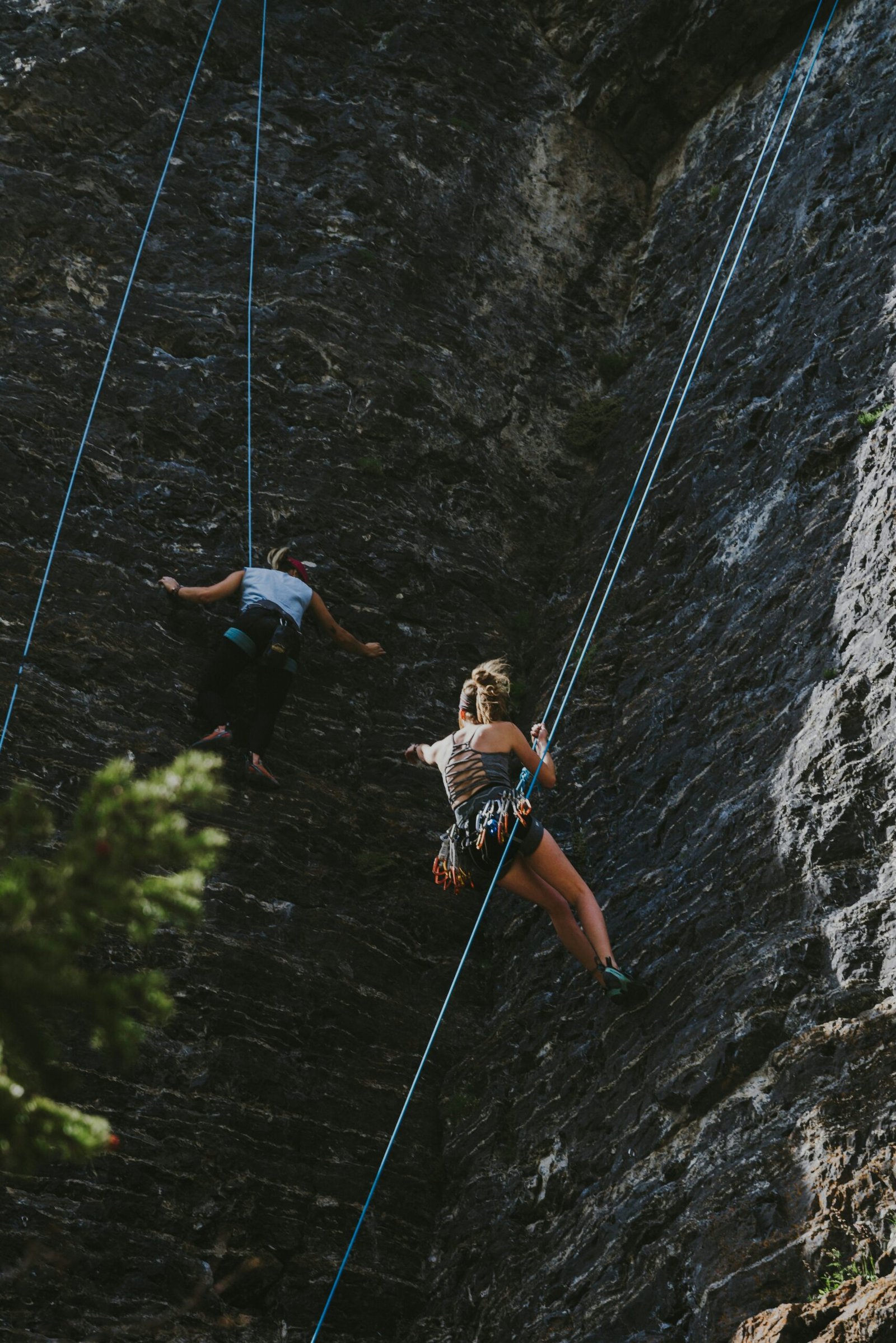 martin-wyall-XSxGs8oHaiU-unsplash