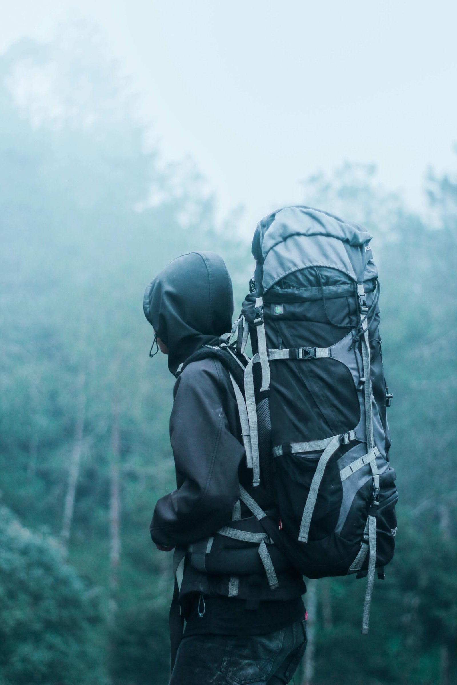 Backpack Image