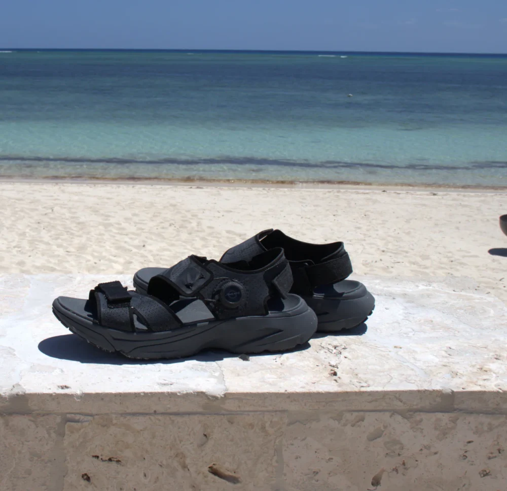 Wingra Black Sand