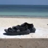 Wingra Black Sand