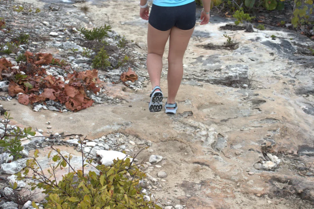 Wingra Light Blue Hike