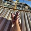 Hovera Hammock