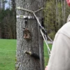 Rack Strap V2 Saddle Hunting