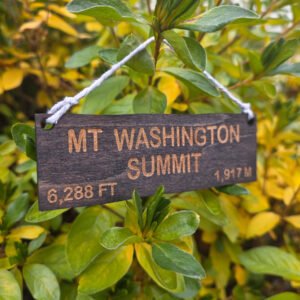 Mt Washington Ornament